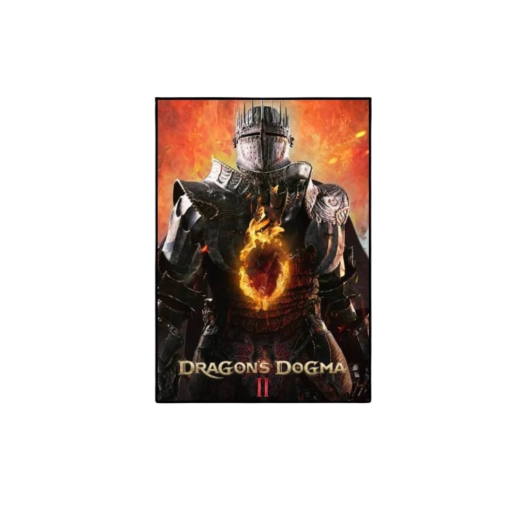 Dragons Dogma Wall Arts